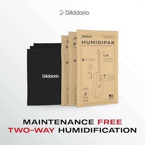 Guitar Humidifier System C253362