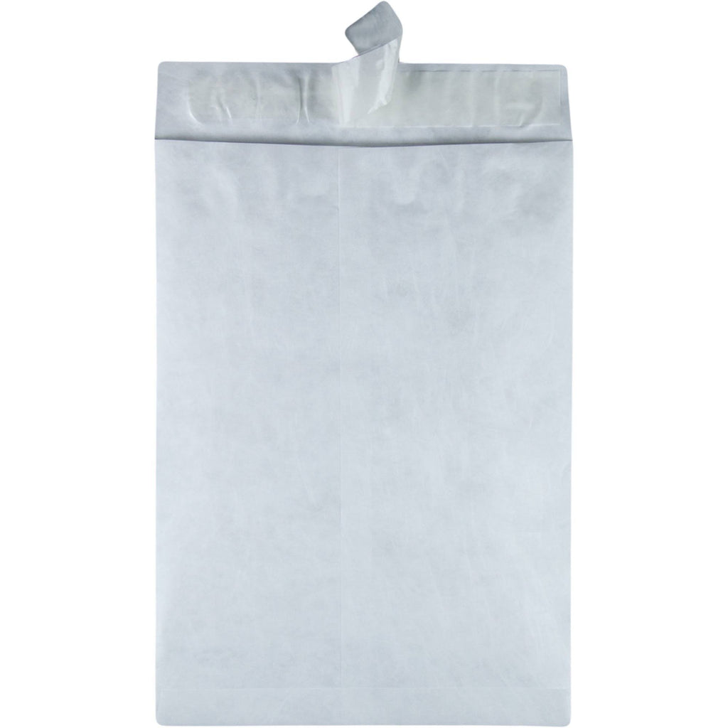 Jumbo Catalog Envelope, 13x22 x 19x22 - 25 pack N4903