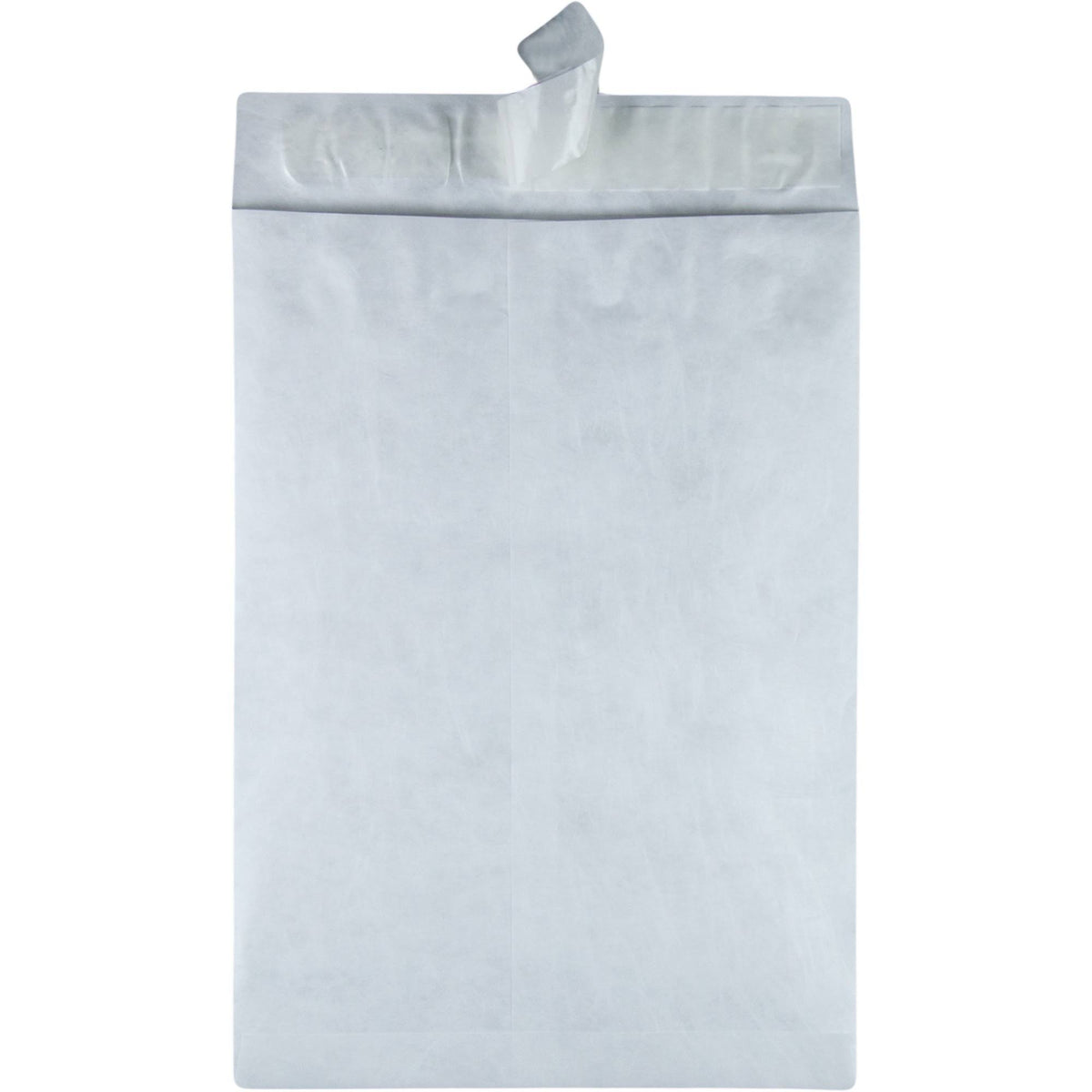 Jumbo Catalog Envelope, 13x22 x 19x22 - 25 pack N4903