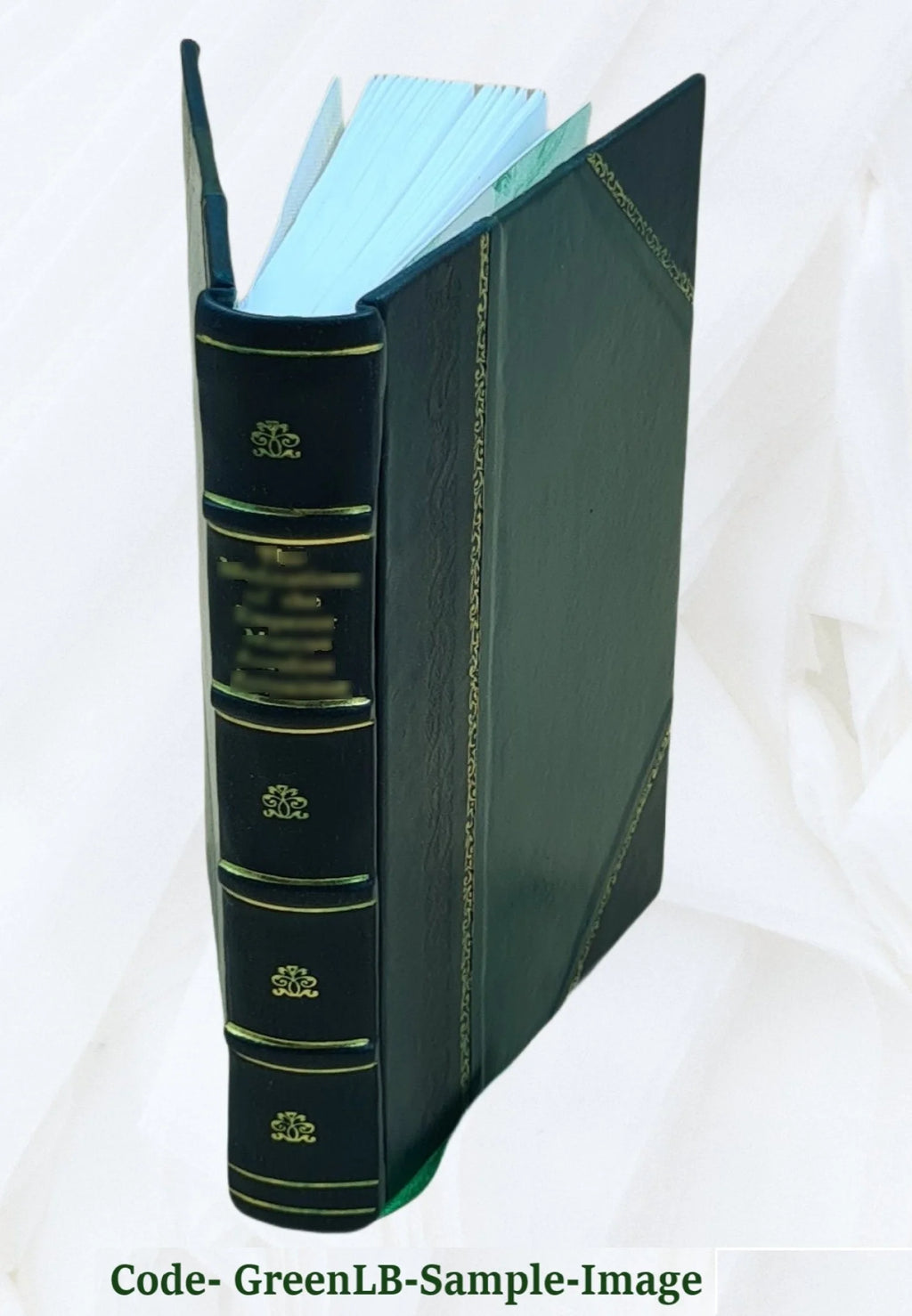 The Nameless Castle: A Novel O3529