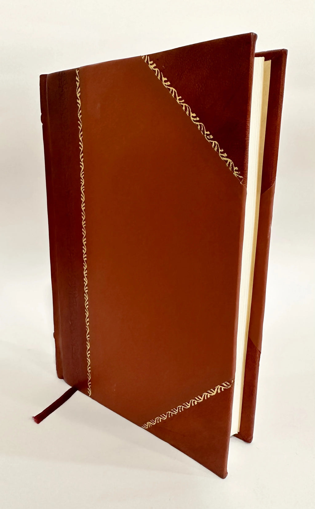 Leather Bound Book N510756