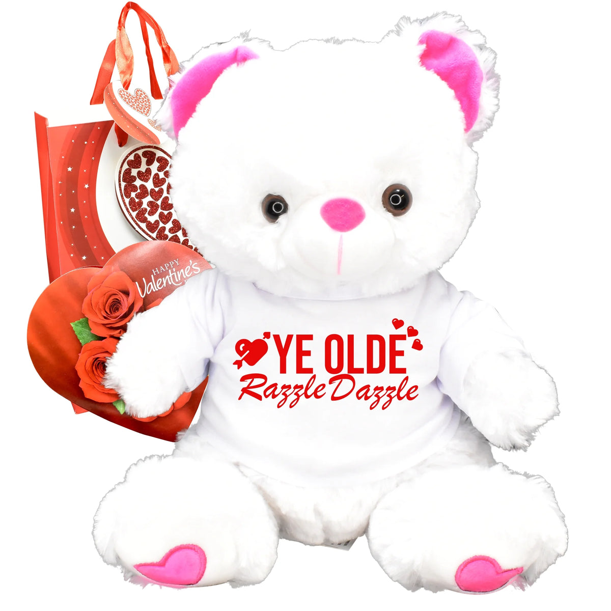 Funny Teddy Bear Plush L9293