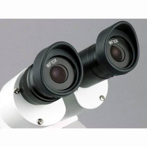 Student Forward Binocular Stereo Microscope 20X-30X-40X-60X C885586