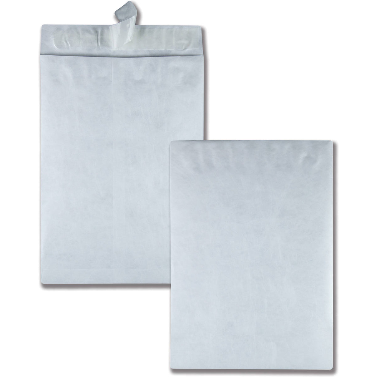 Jumbo Catalog Envelope, 13x22 x 19x22 - 25 pack N4903
