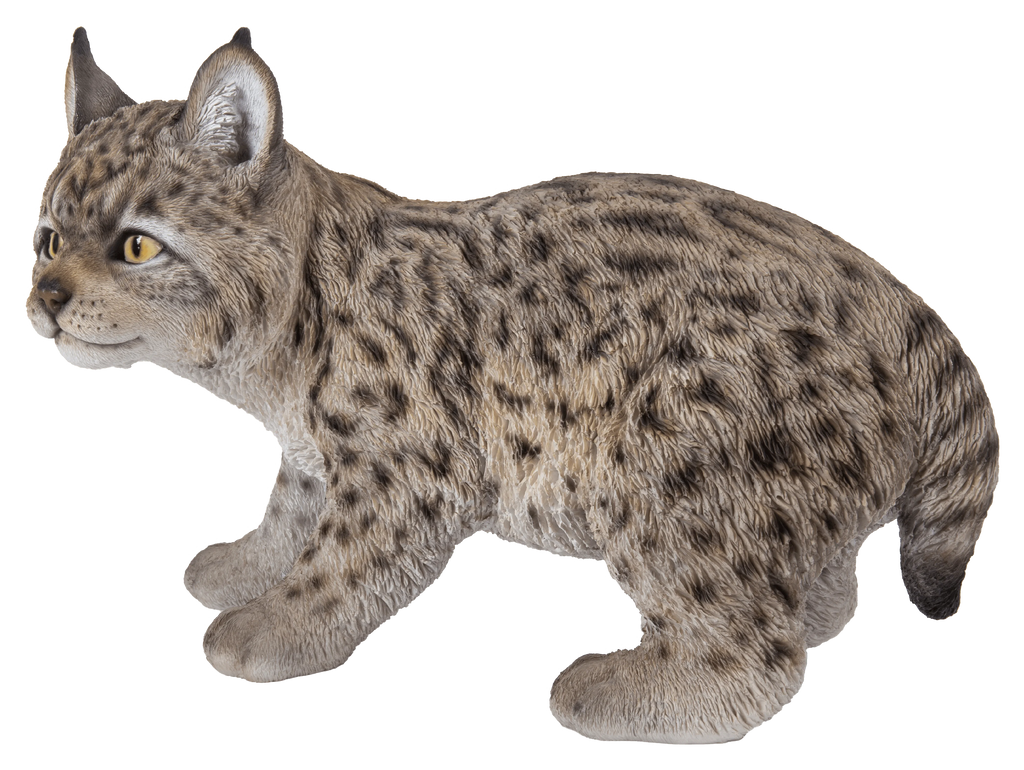 Lynx Kitten Statue V92425