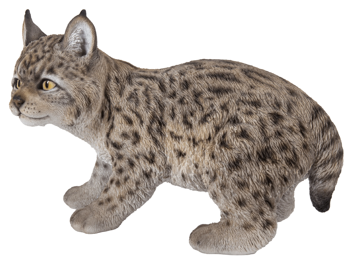 Lynx Kitten Statue V92425