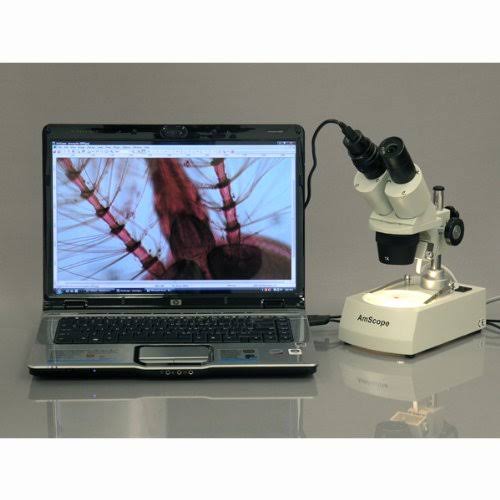 Student Forward Binocular Stereo Microscope 20X-30X-40X-60X C885586