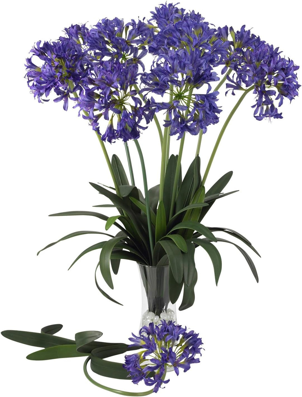 29 African Lily Stem Set of 12 Yellow Pack of 2 M1402