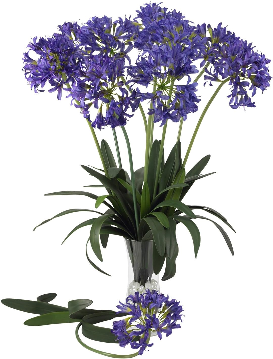 29 African Lily Stem Set of 12 Yellow Pack of 2 M1402