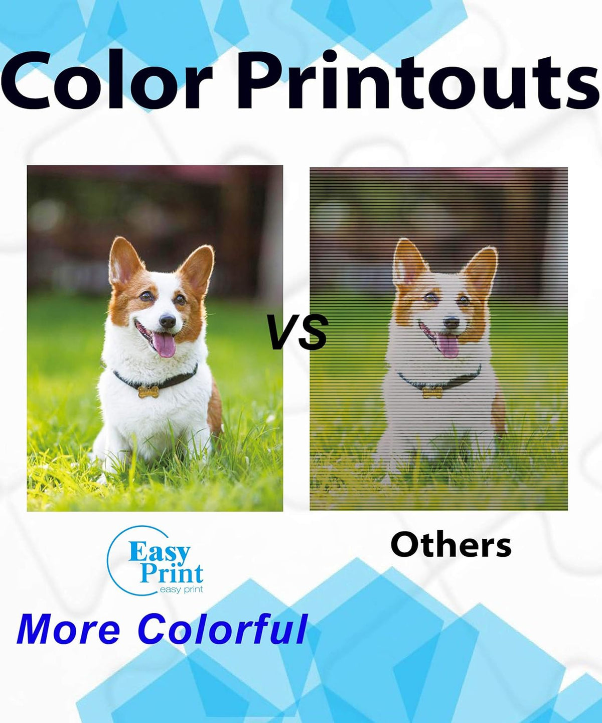 Black Toner Cartridge E43373