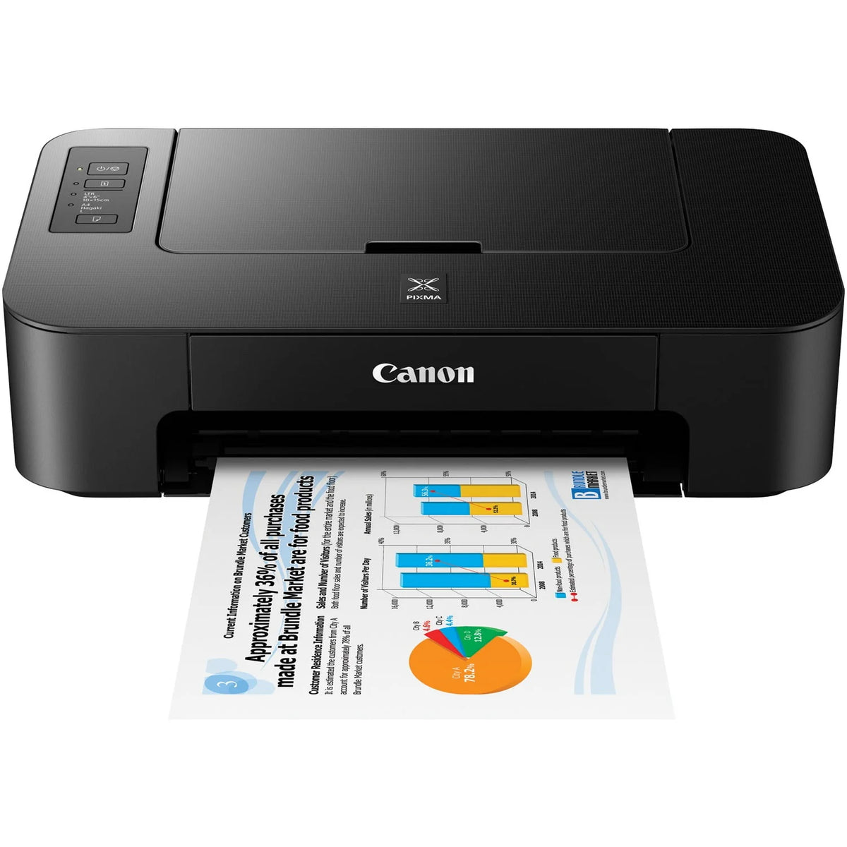PIXMA TS202 Inkjet Printer M5307