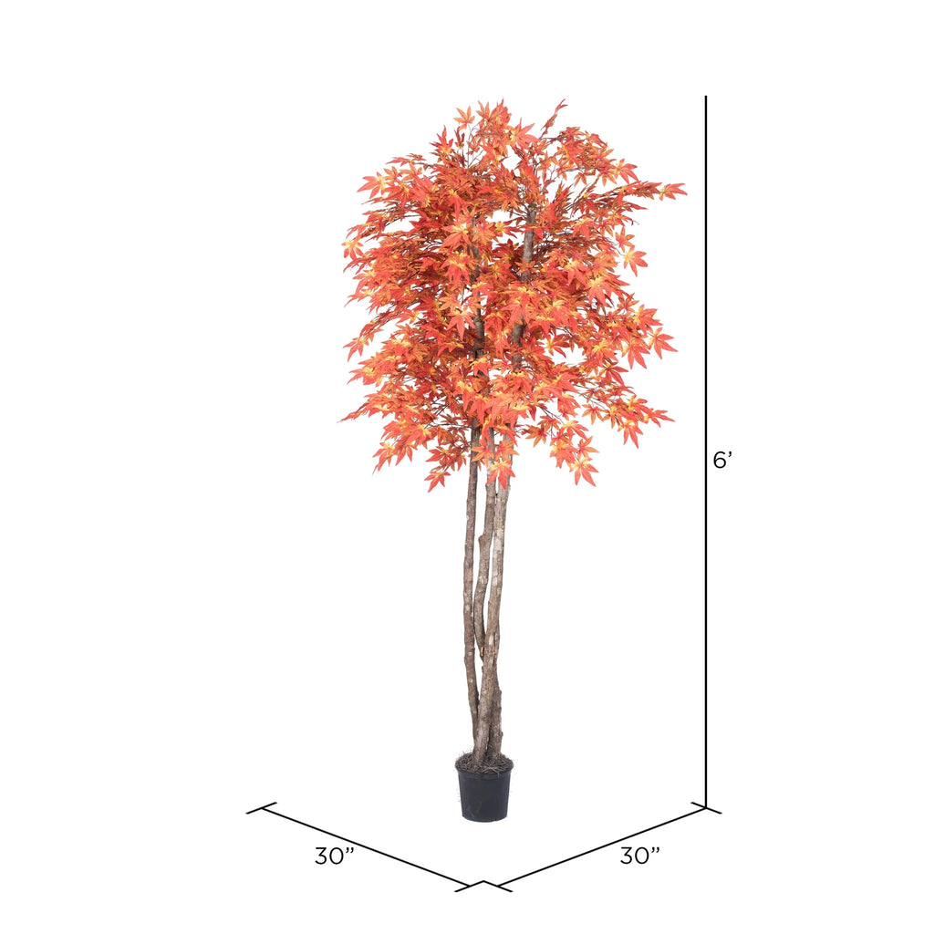 Artificial Orange Maple Silk Tree with Container I4598