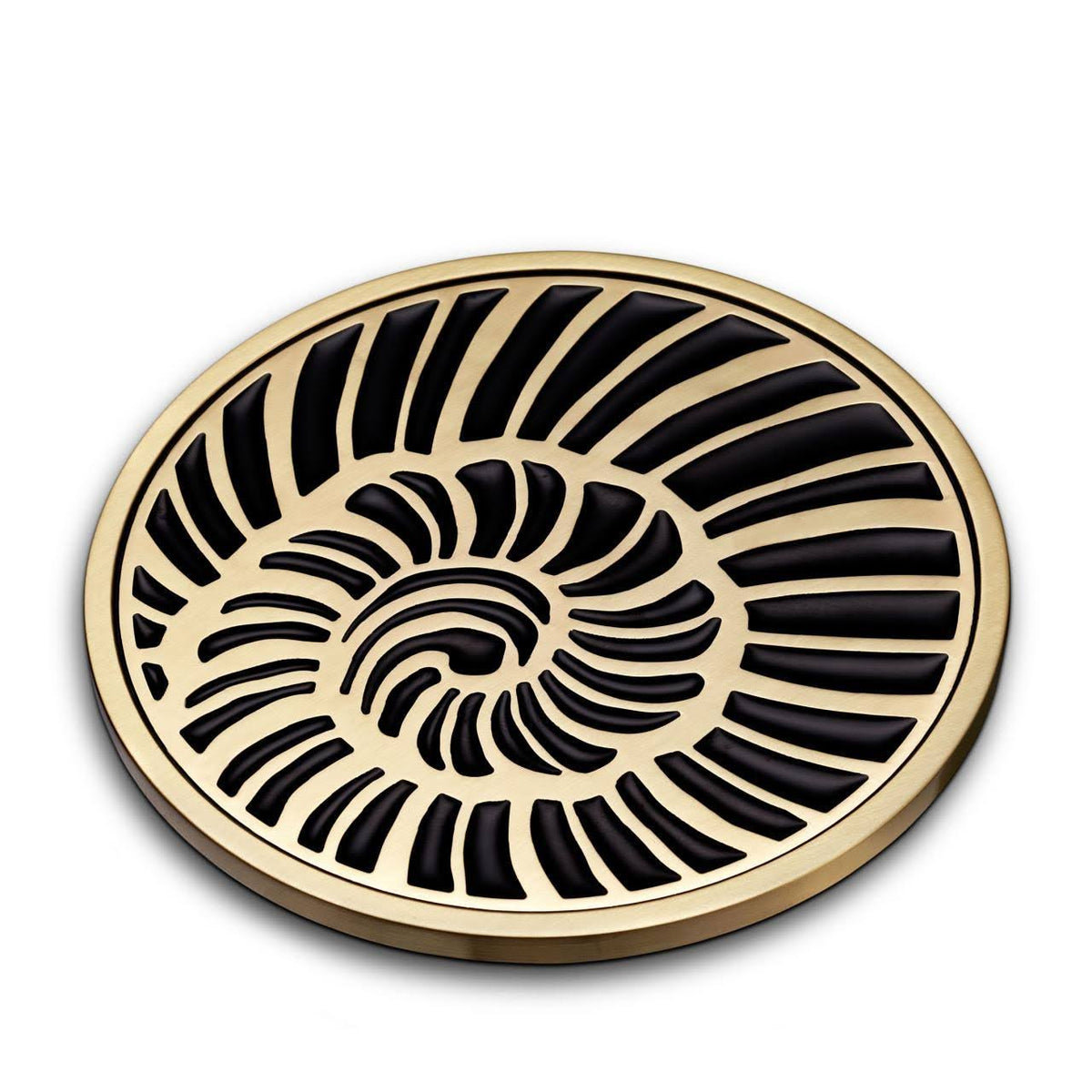 Set of 4 Shell Coasters M56569