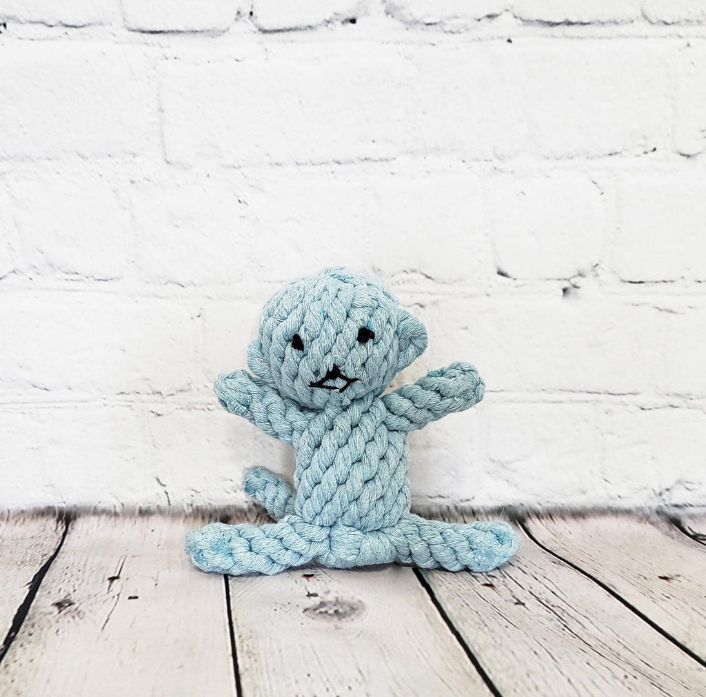 Small Dog Tug Toy Braided Rope Toy R5898