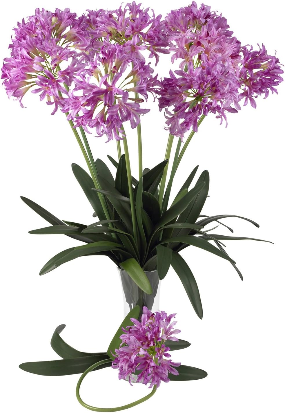 29 African Lily Stem Set of 12 Yellow Pack of 2 M1402