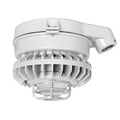 HAZSLED80C-DG/D10 LED Light Y135670