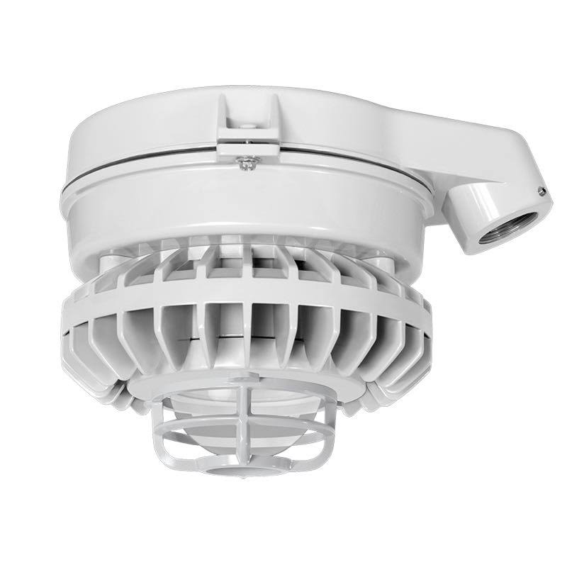 HAZSLED80C-DG/D10 LED Light Y135670