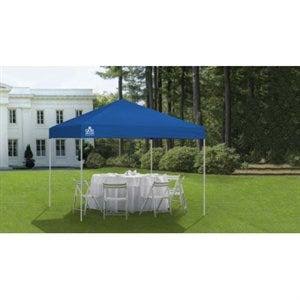 10x10 Blue Canopy A17087