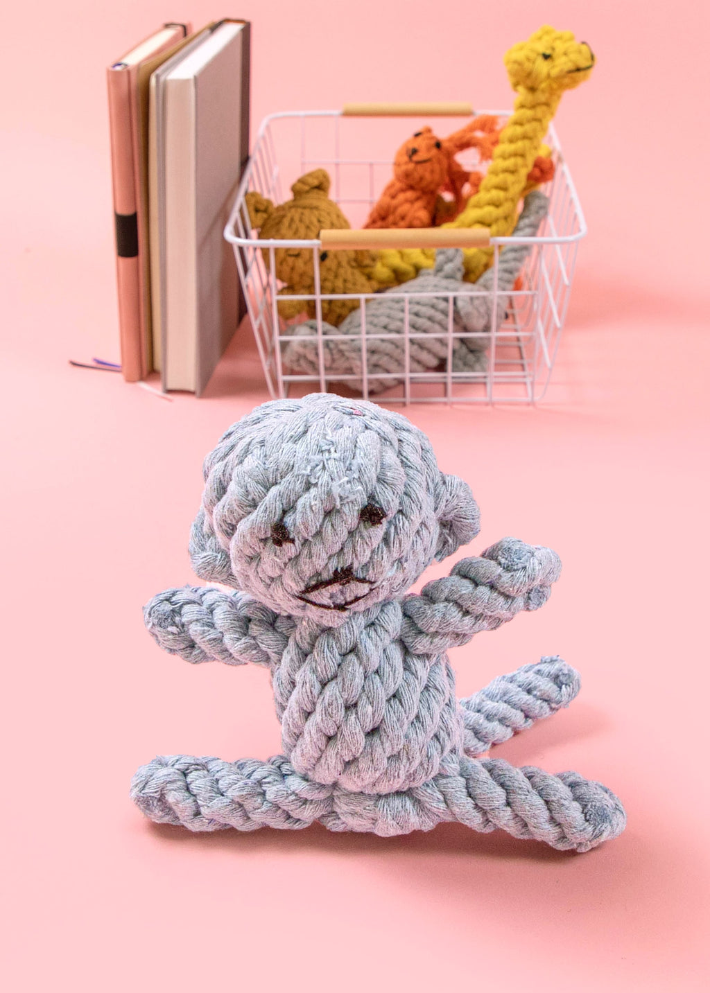 Small Dog Tug Toy Braided Rope Toy R5898