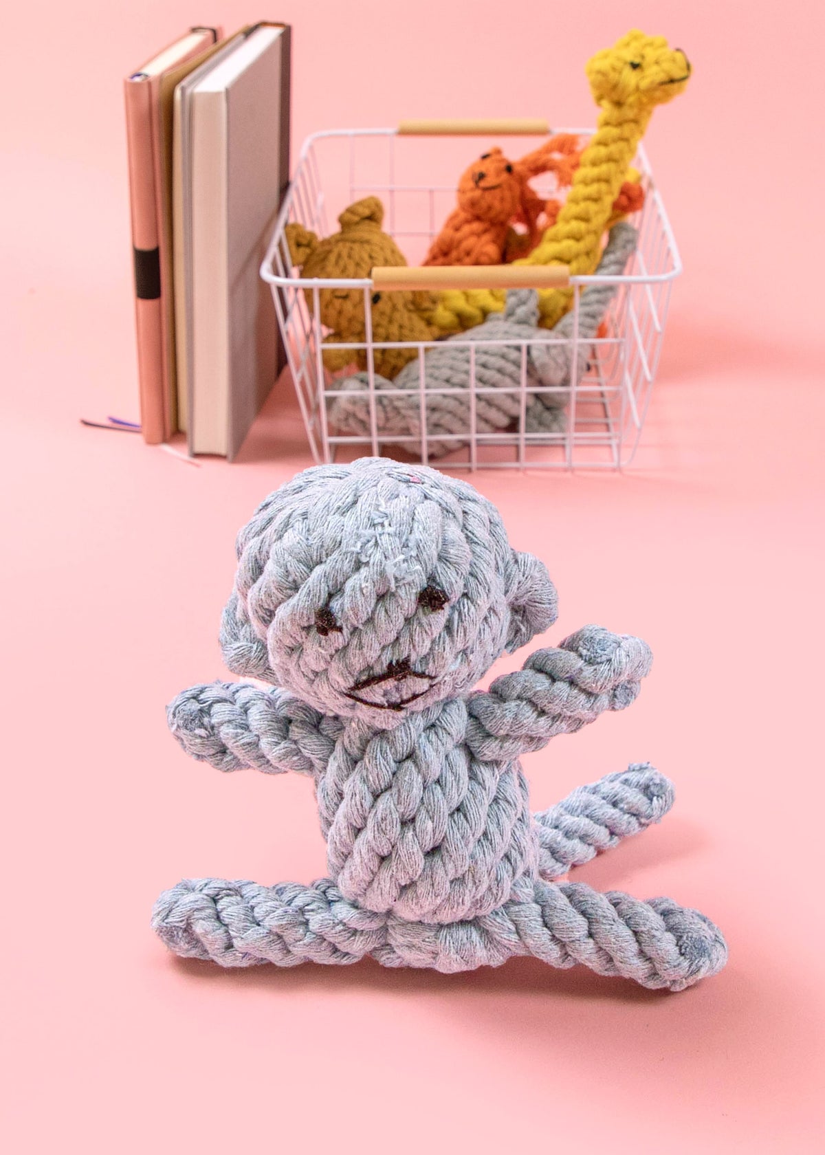 Small Dog Tug Toy Braided Rope Toy R5898