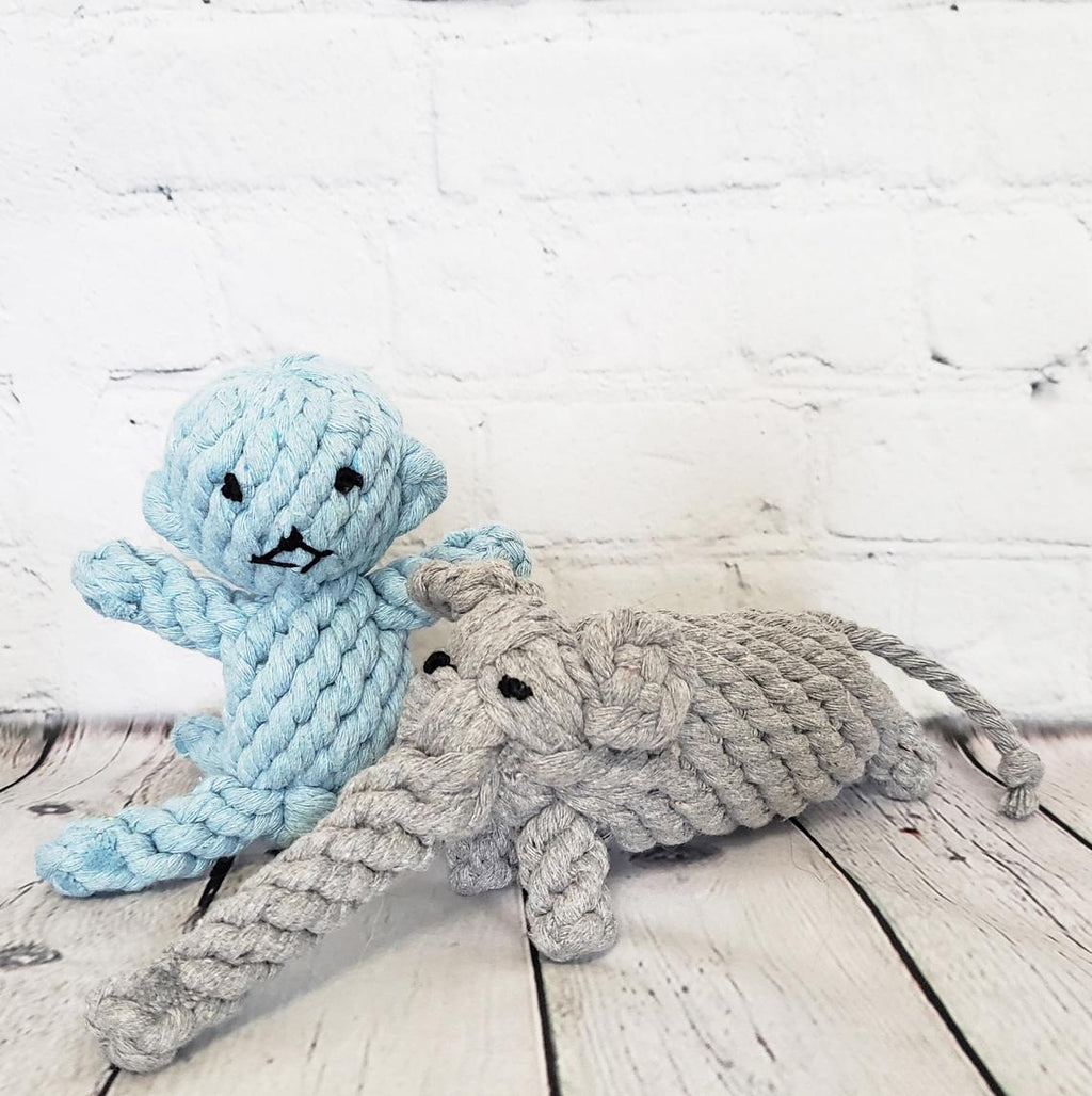 Small Dog Tug Toy Braided Rope Toy R5898