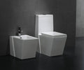 Modern Bathroom Toilet P10979