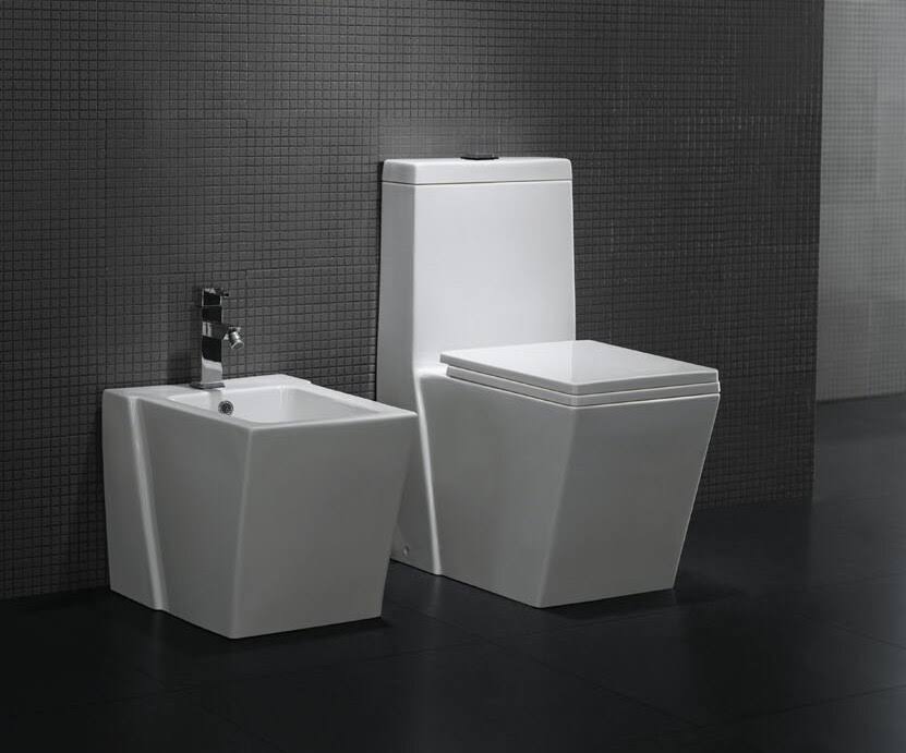 Modern Bathroom Toilet P10979