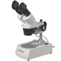 Student Forward Binocular Stereo Microscope 20X-30X-40X-60X C885586