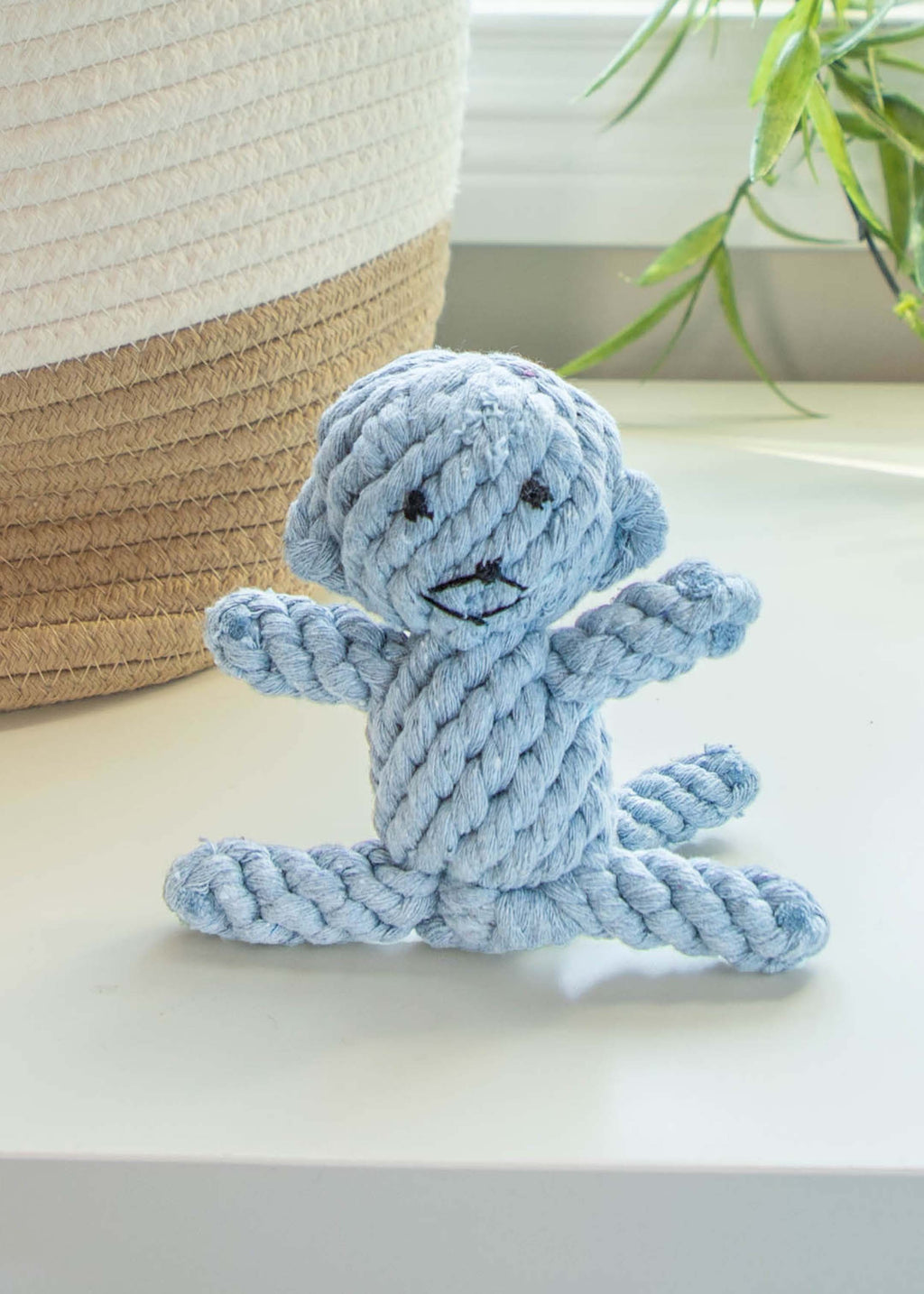 Small Dog Tug Toy Braided Rope Toy R5898