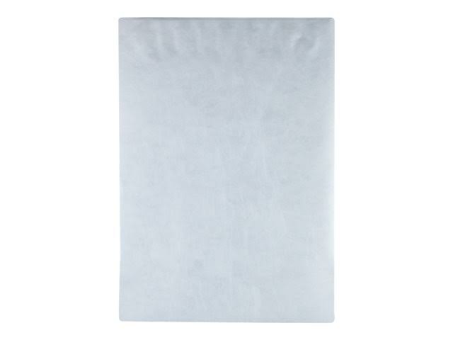Jumbo Catalog Envelope, 13x22 x 19x22 - 25 pack N4903