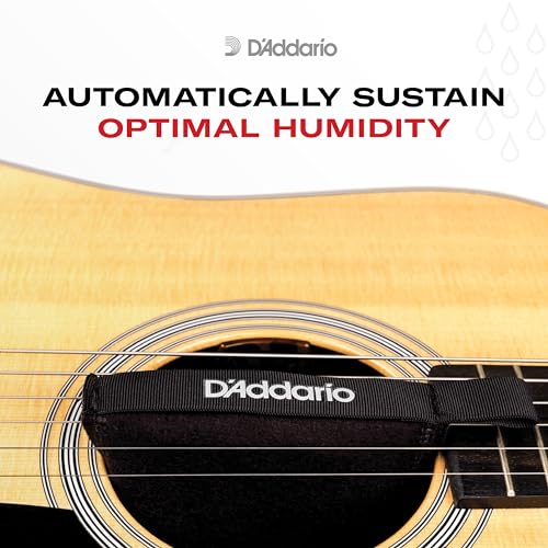 Guitar Humidifier System C253362