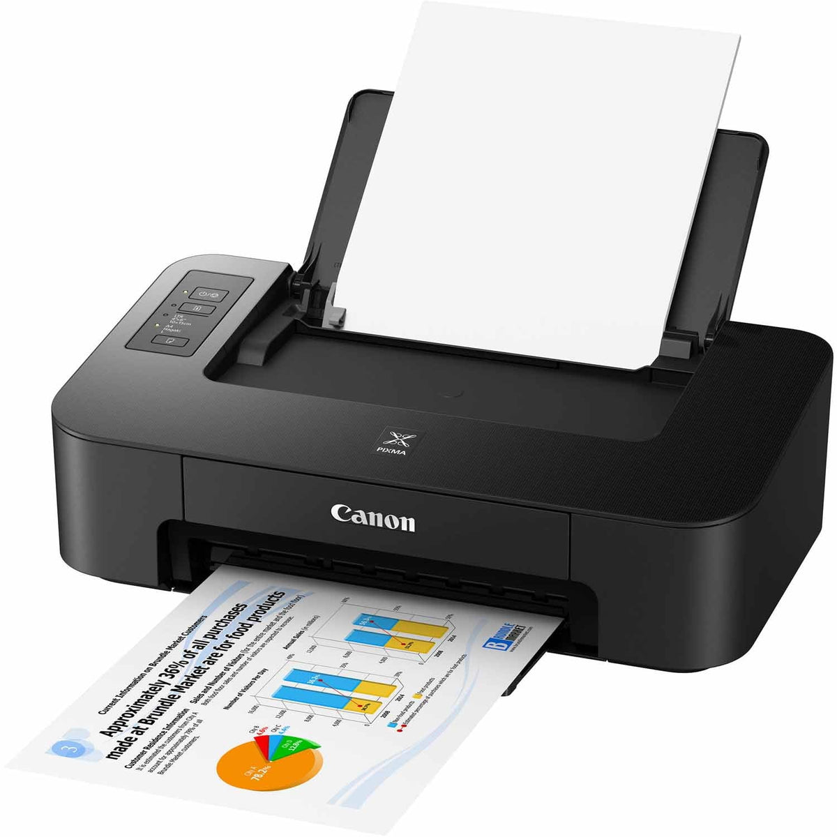 PIXMA TS202 Inkjet Printer M5307