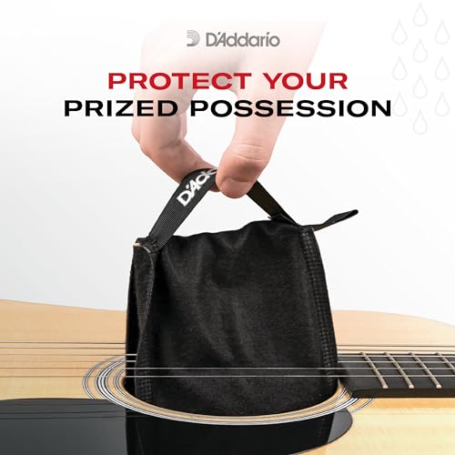 Guitar Humidifier System C253362