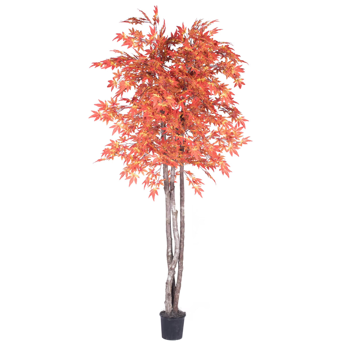 Artificial Orange Maple Silk Tree with Container I4598