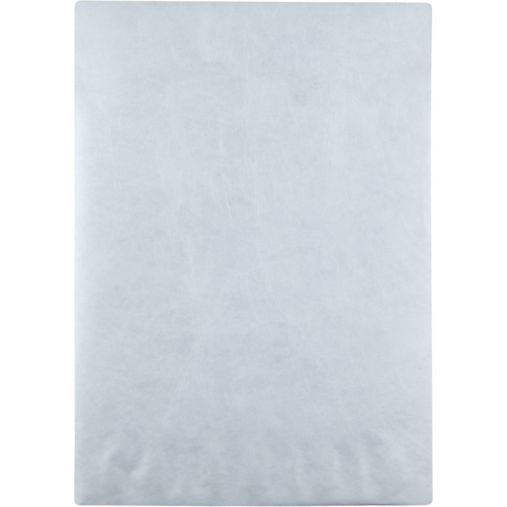 Jumbo Catalog Envelope, 13x22 x 19x22 - 25 pack N4903