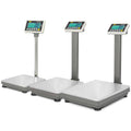 Industrial Bench Scale 250 lb x 0.05 lb W59747