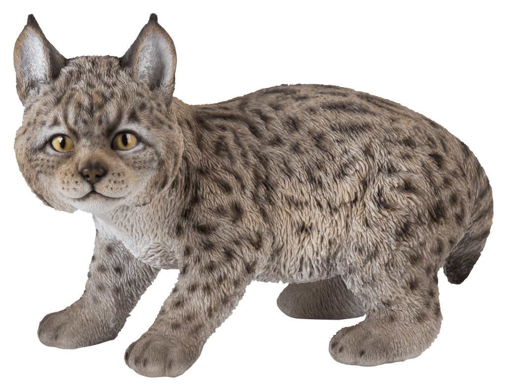 Lynx Kitten Statue V92425