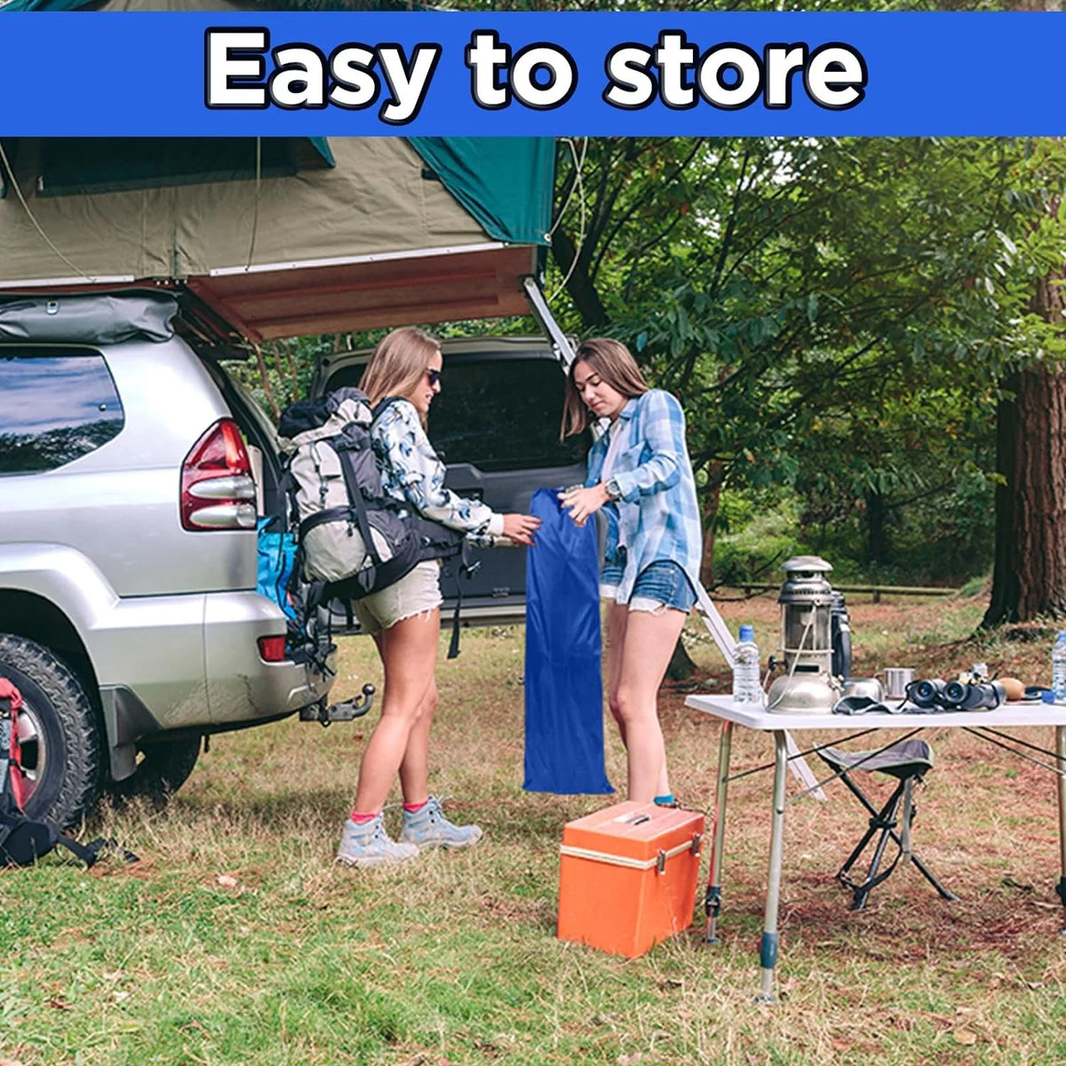 2 Pack 450lbs Max Load Camping Cot with Carry Bag E94485