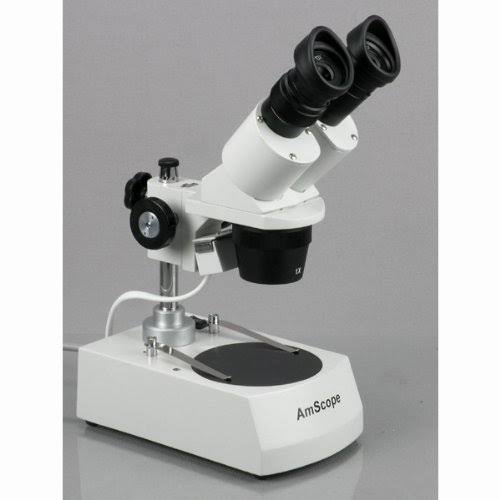 Student Forward Binocular Stereo Microscope 20X-30X-40X-60X C885586