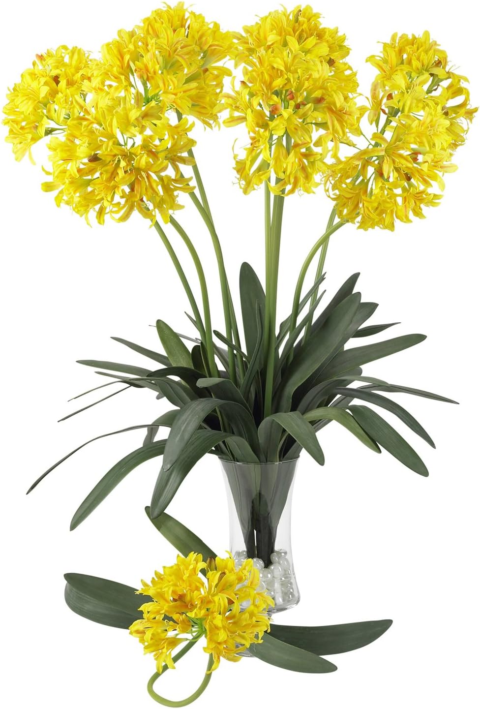 29 African Lily Stem Set of 12 Yellow Pack of 2 M1402
