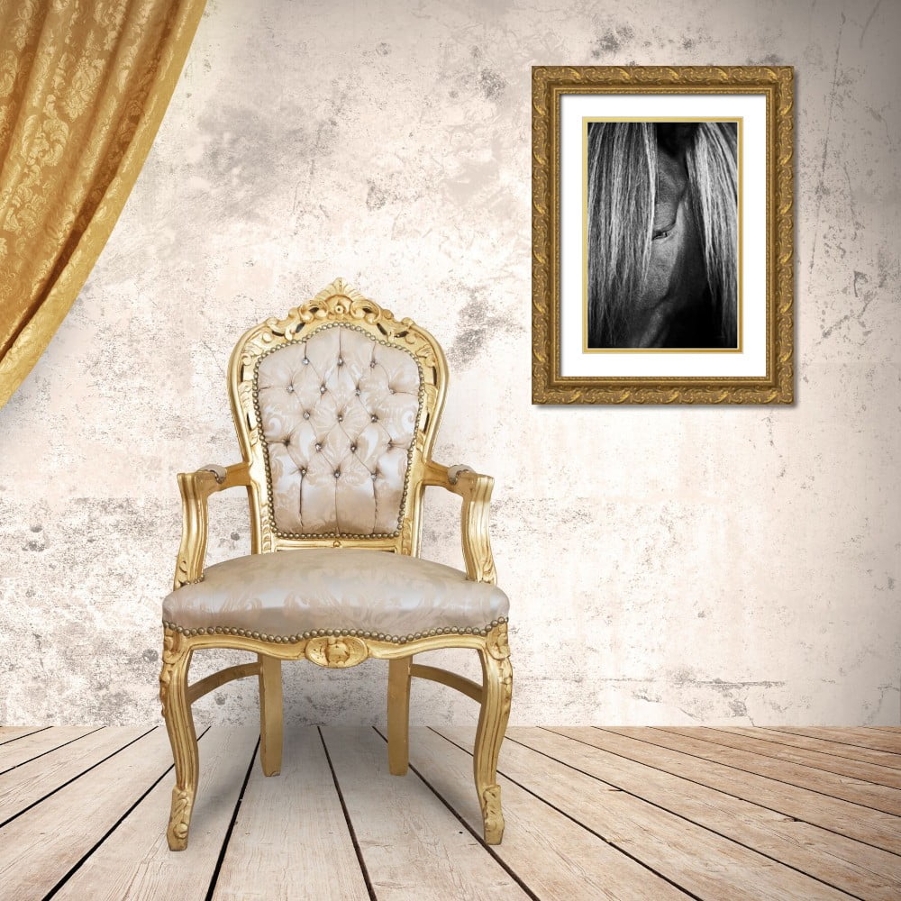 Gold Ornate Wood Framed Museum Art Print S8103