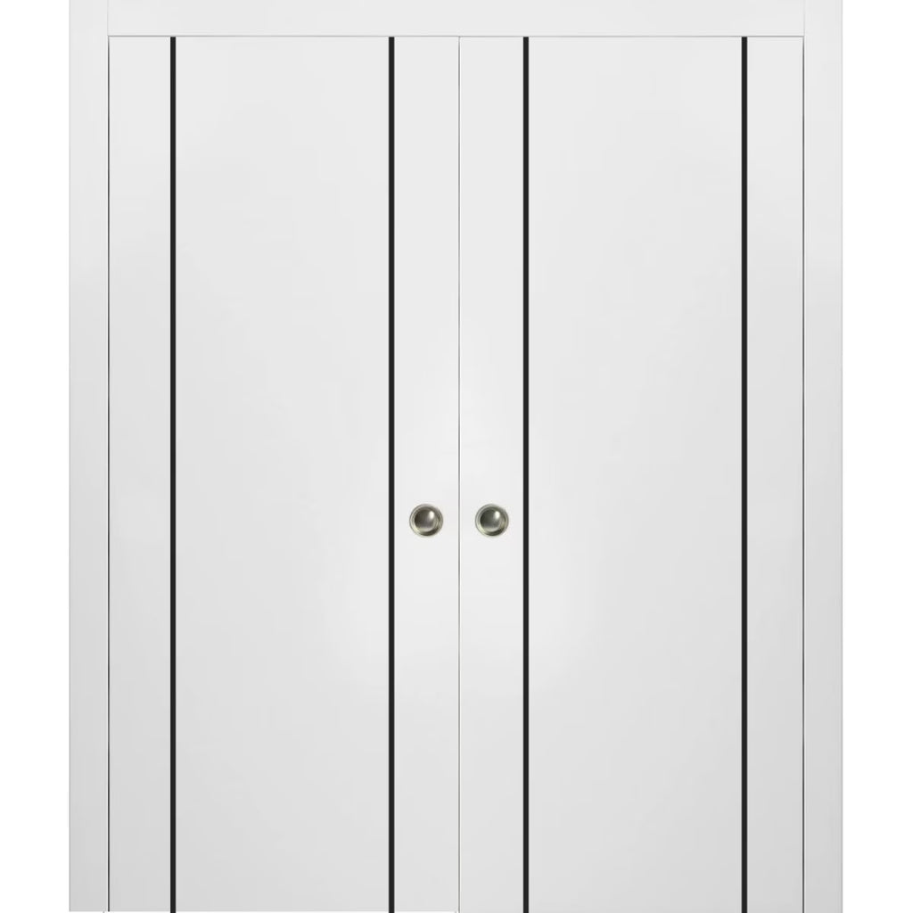 Sliding French Double Pocket Doors 48 x 80 inches White Silk with Frosted Glass Solid Wood Interior Doors Q4598