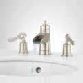 Brushed Nickel Widespread Bathroom Faucet M590