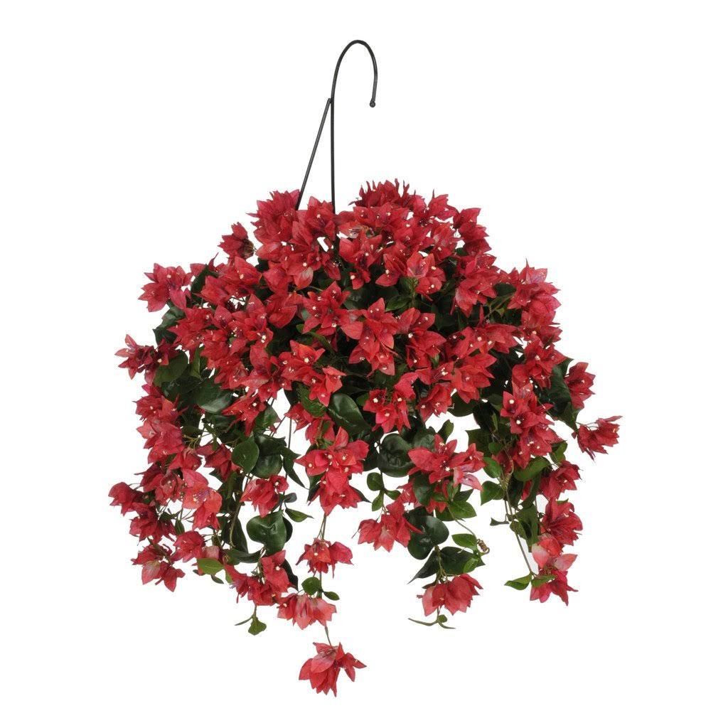 Red Bougainvillea Hanging Basket M79126