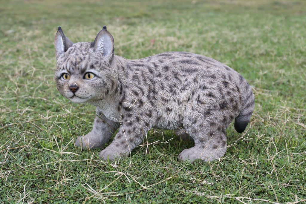 Lynx Kitten Statue V92425