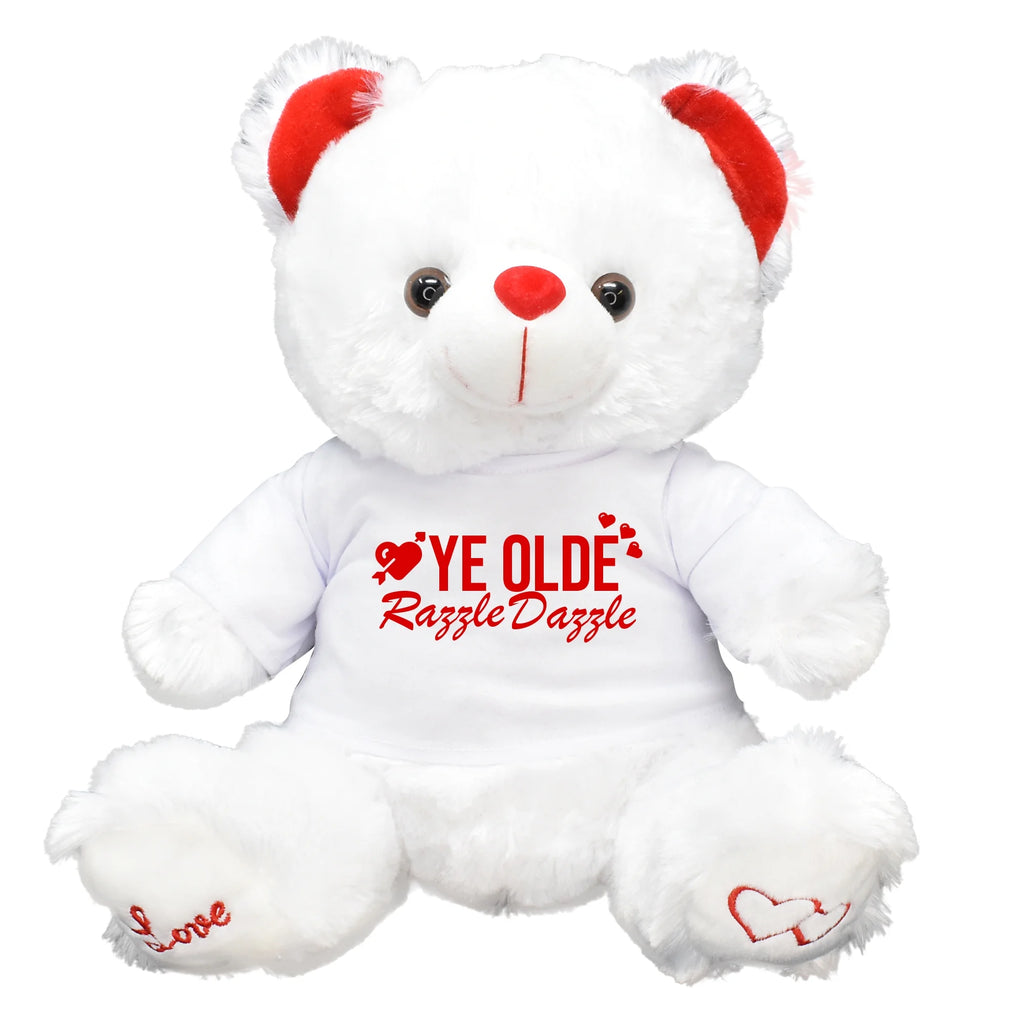Funny Teddy Bear Plush L9293