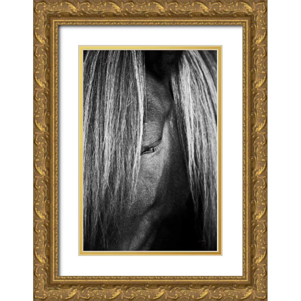 Gold Ornate Wood Framed Museum Art Print S8103