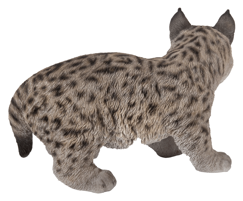 Lynx Kitten Statue V92425