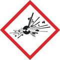 Exploding Bomb Pictogram Labels - 1 in x 1 in - Self-Adhesive - Polyester - Black/Red on White R204
