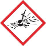 Exploding Bomb Pictogram Labels - 1 in x 1 in - Self-Adhesive - Polyester - Black/Red on White R204